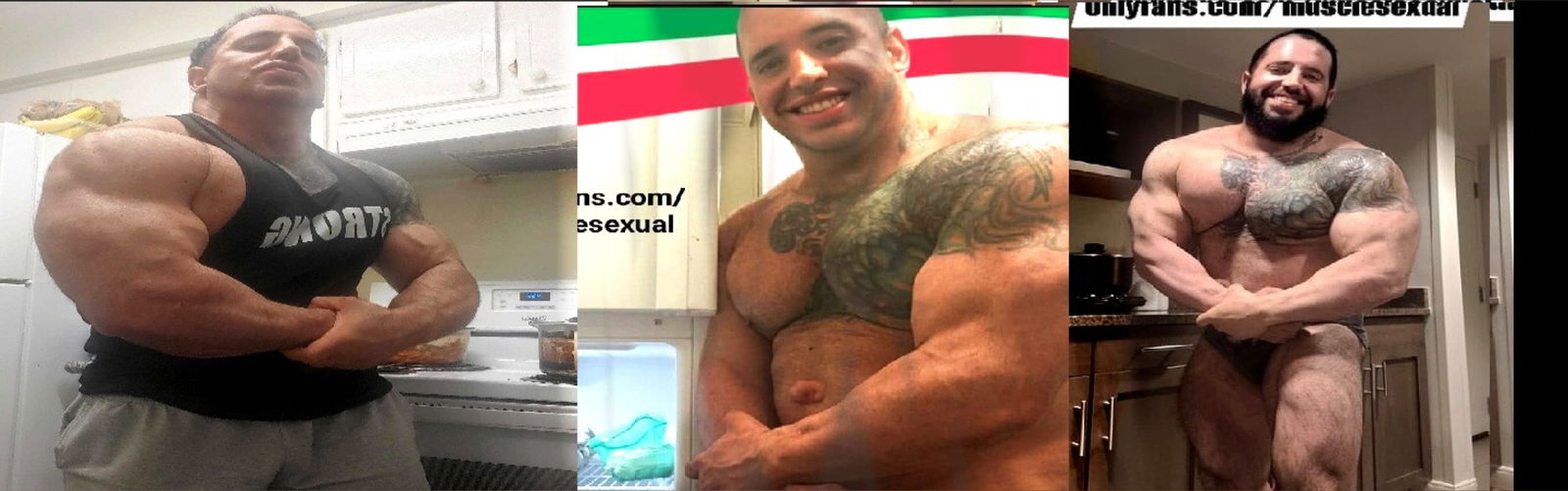 musclesexual banner