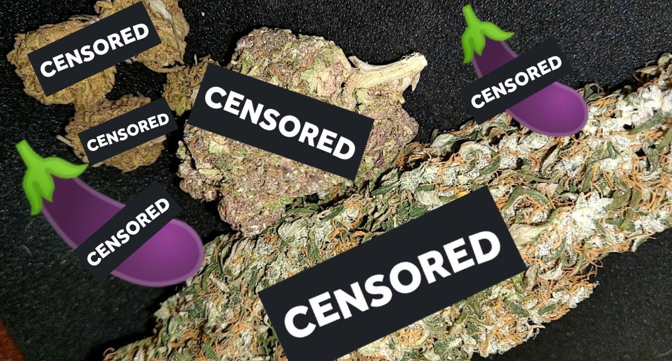 my Dick & some Weed profile banner