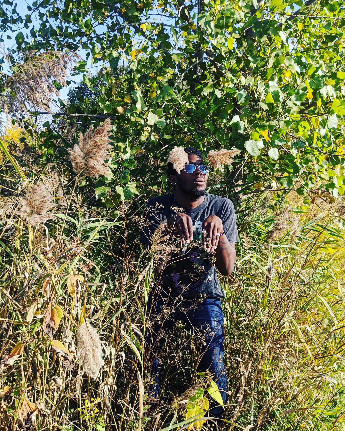 Frost profile banner