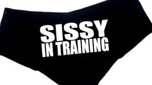 My Sissy Harem profile banner