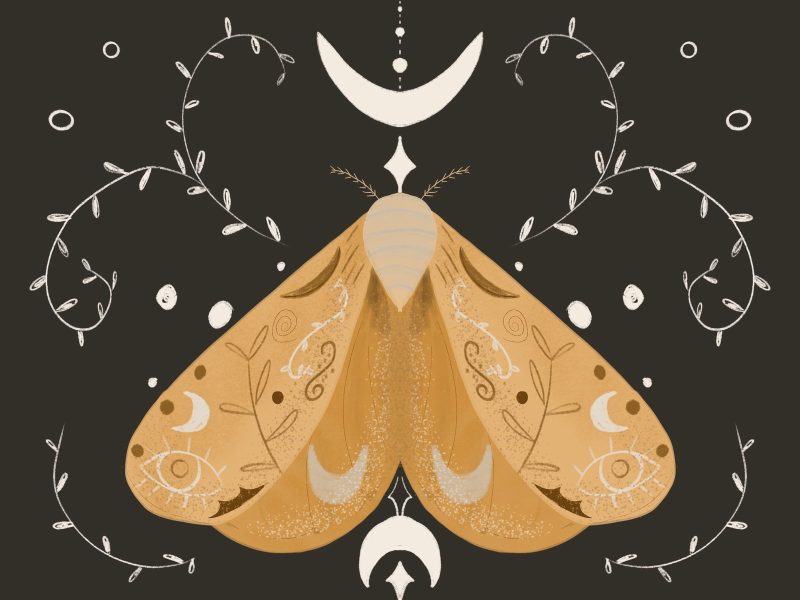 Mystery profile banner