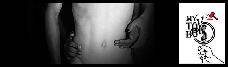 mytoyboys banner