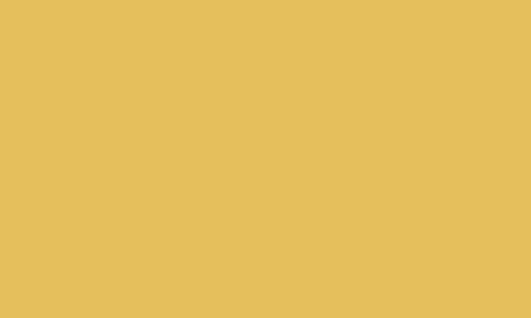 N o a h profile banner