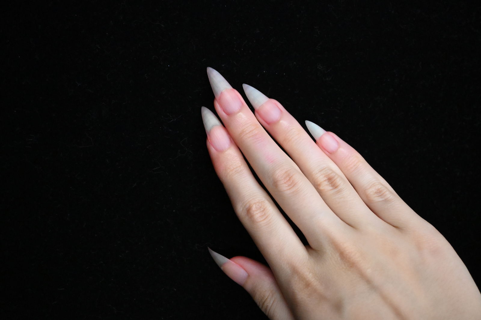 nailsit profile banner