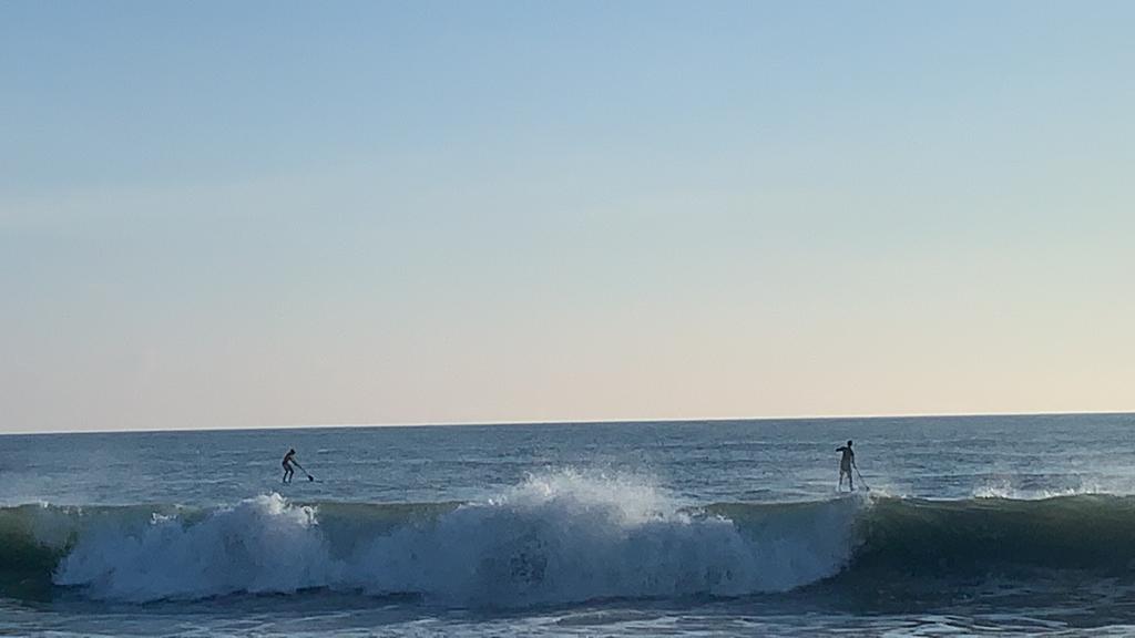 Naked on the board profile banner
