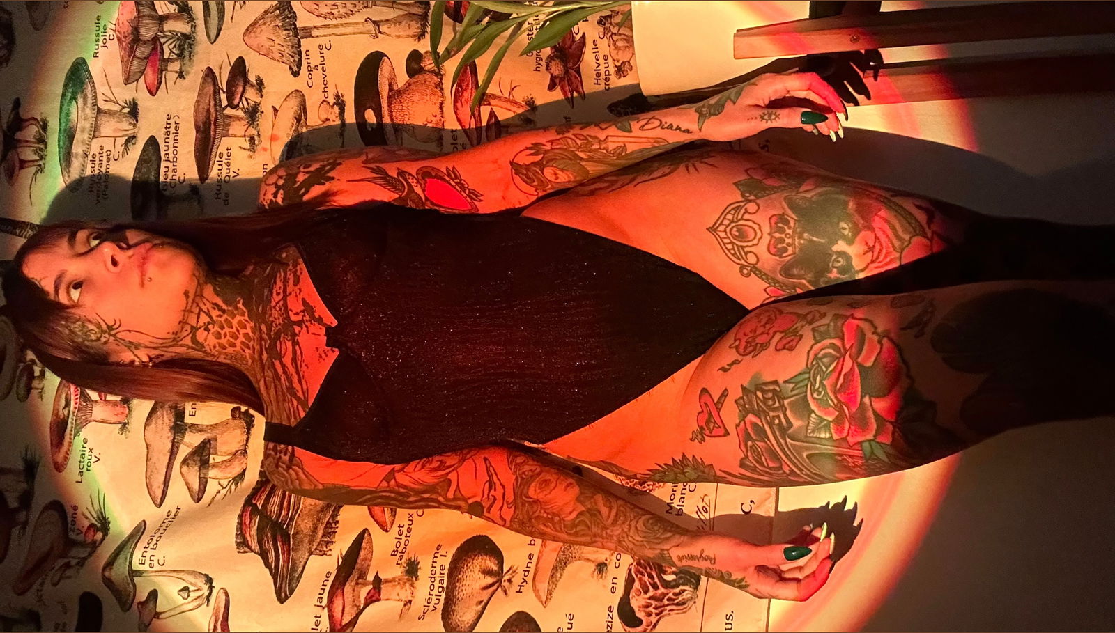 nastytattooedelf banner