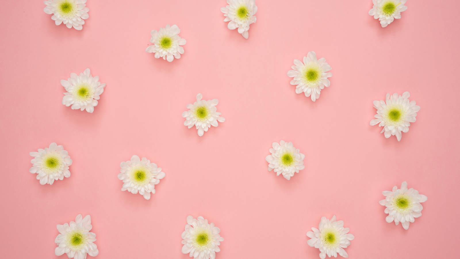 Natalie Grace profile banner