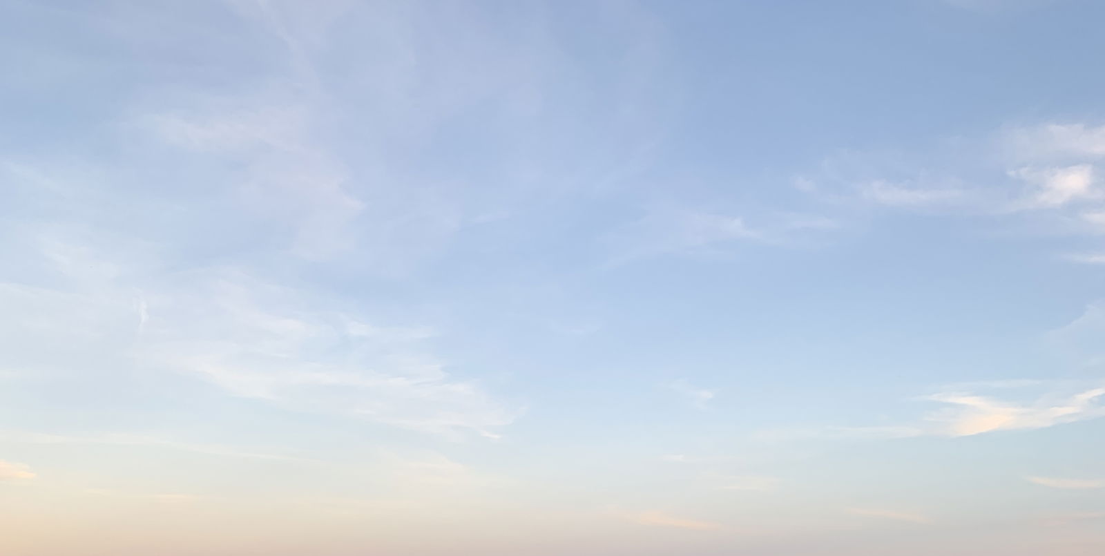 hoe exotic profile banner