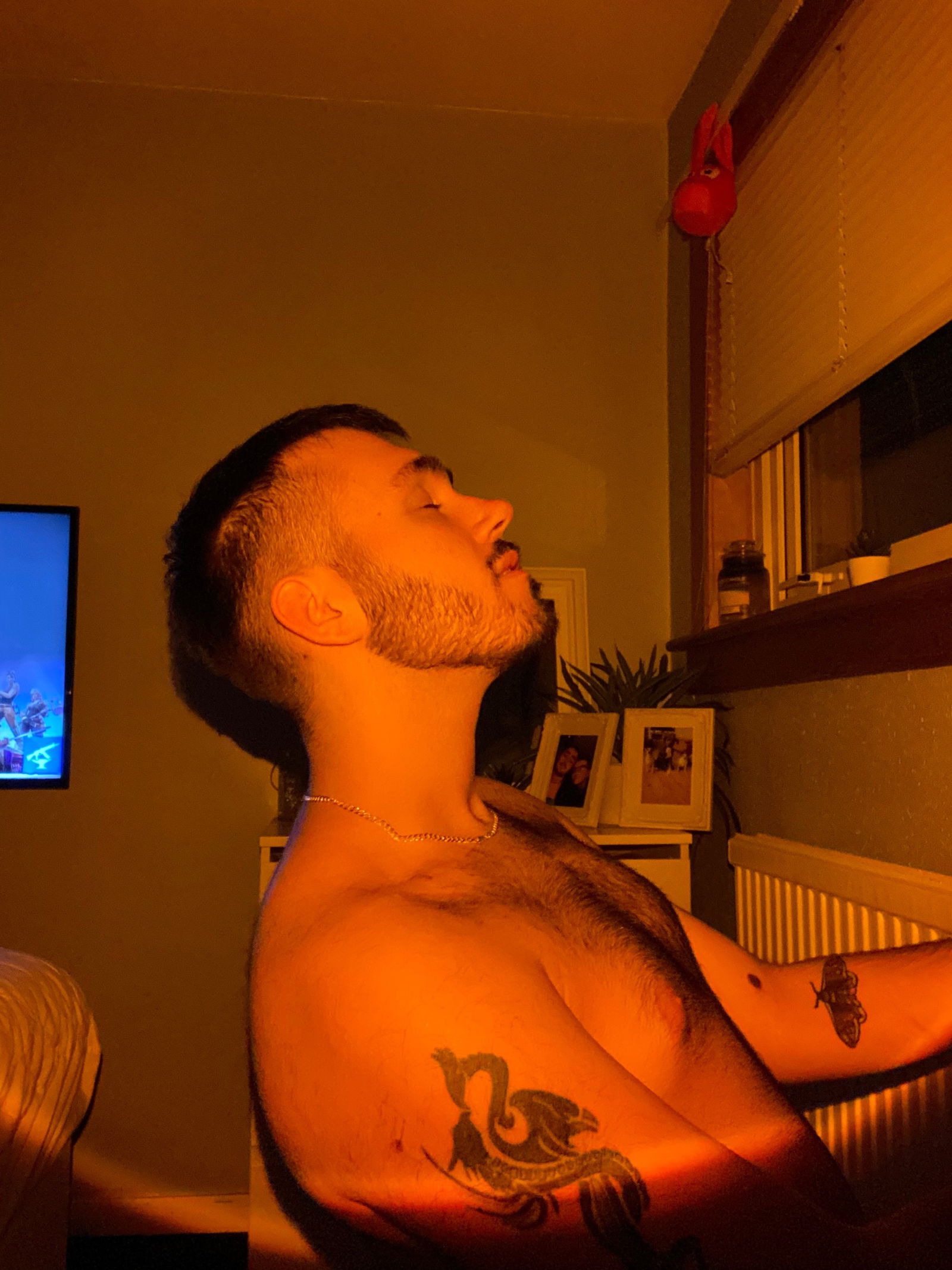 Naughty Tom profile banner