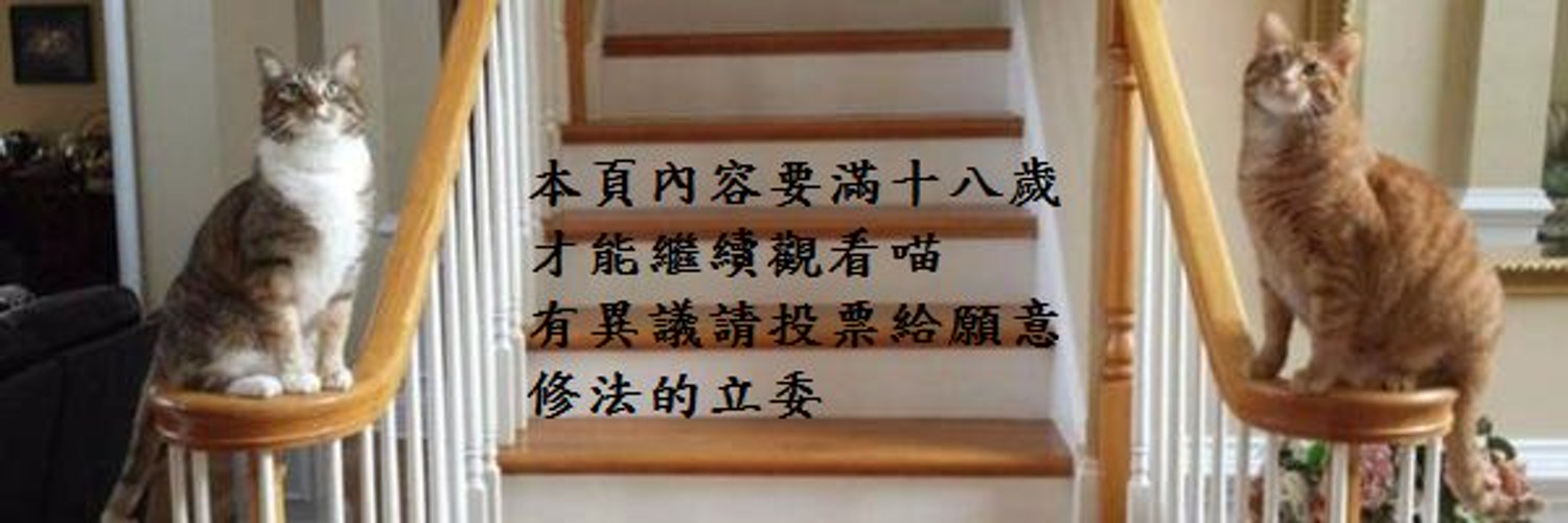 海軍貓貓 profile banner