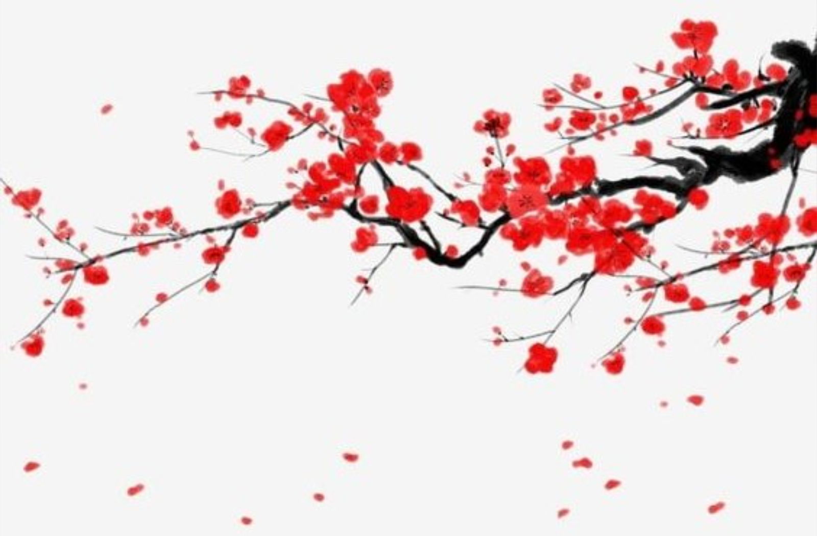 NENO_XEX profile banner