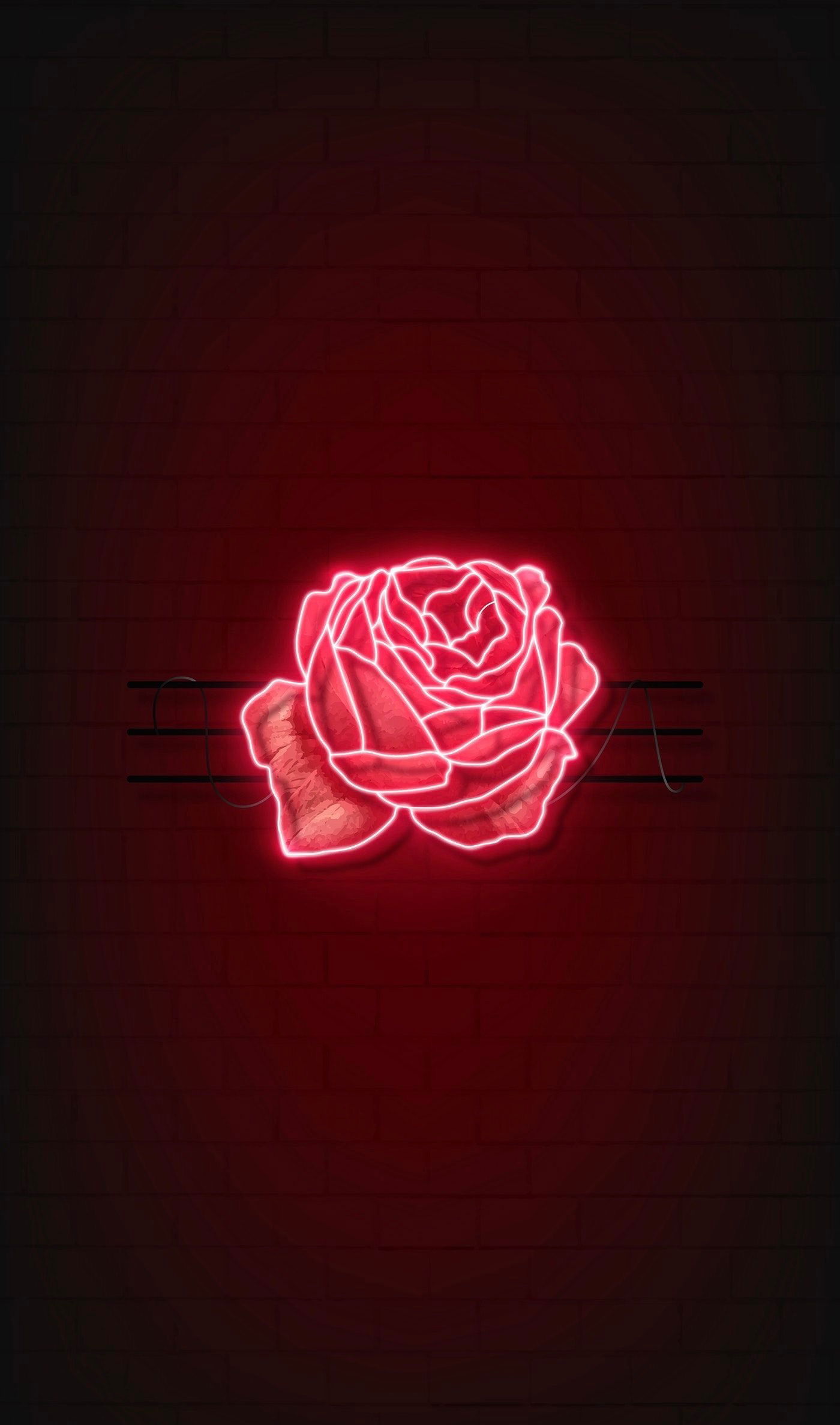 Rose 🌹 profile banner