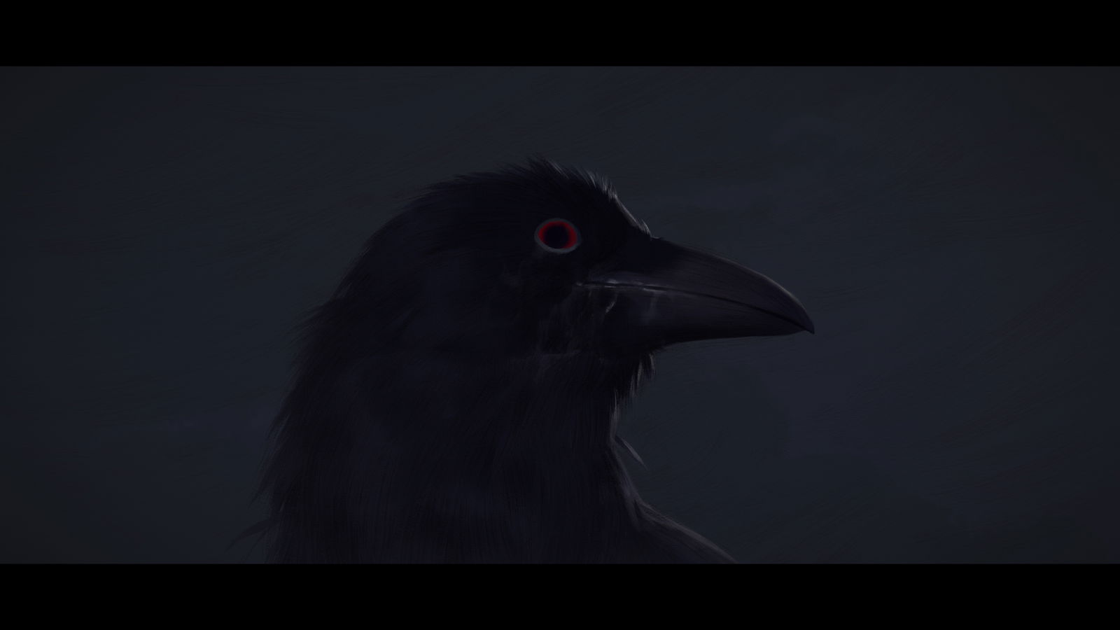 Z profile banner