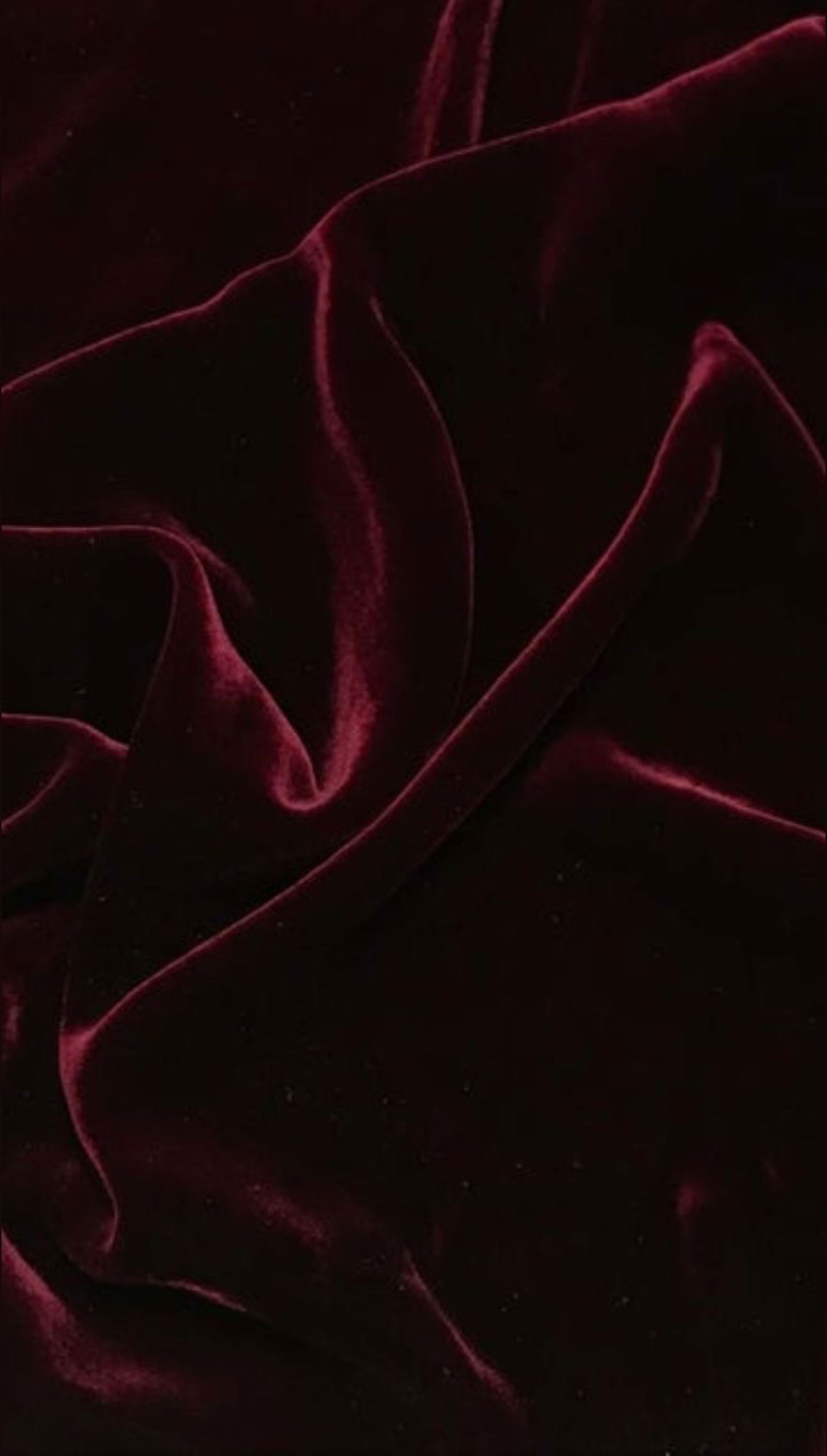 π· Niae π· profile banner