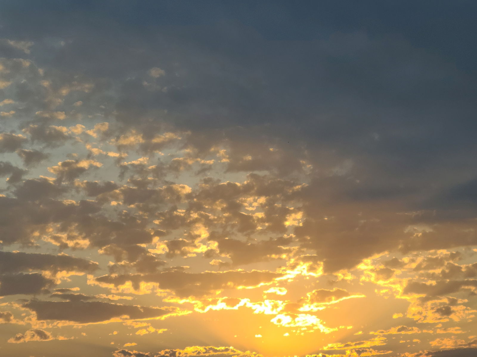 DRAMA profile banner