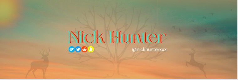 nick profile banner