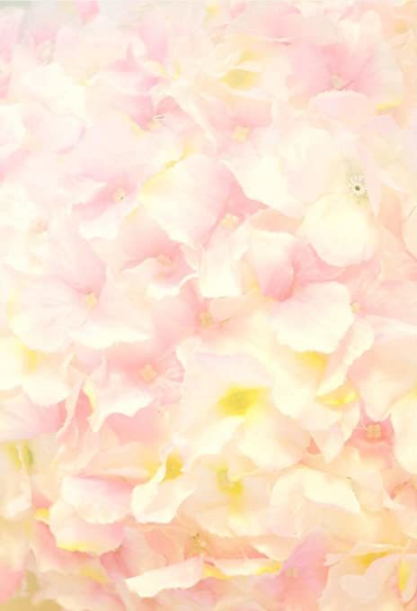 niecey profile banner