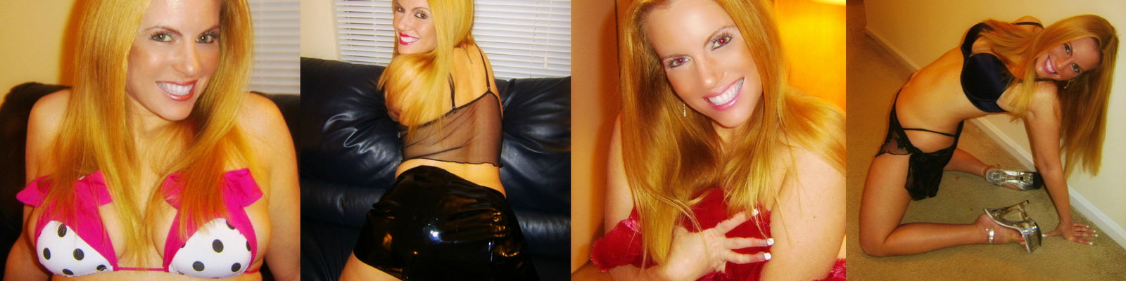 nikkinevada1 banner