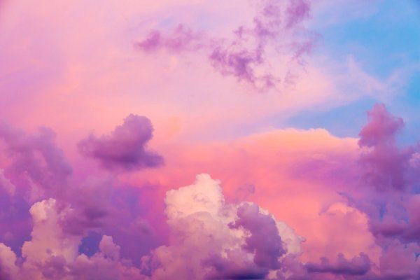 Little Nina ππ» profile banner