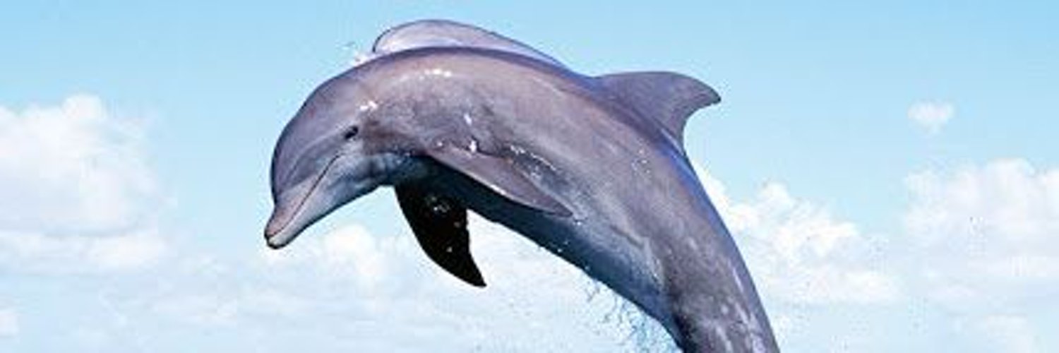 Nippeluver profile banner
