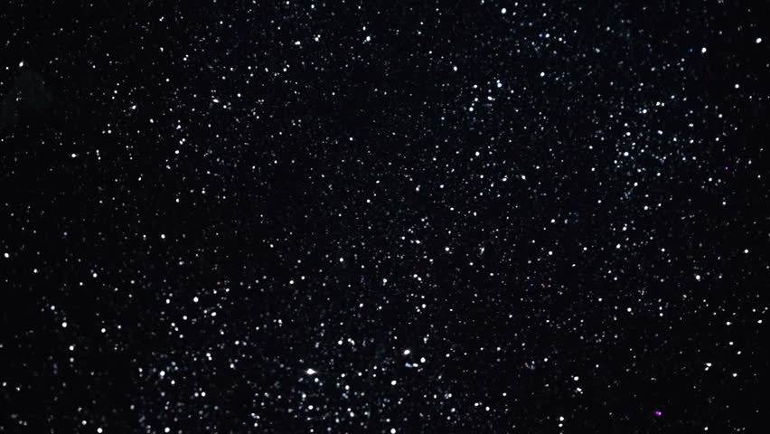 PlusSizedShawty profile banner
