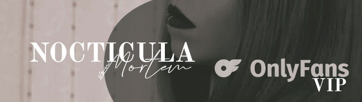 Noctícula Von Mortem profile banner