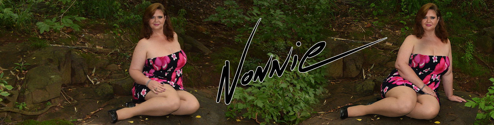 nonnienautskie banner