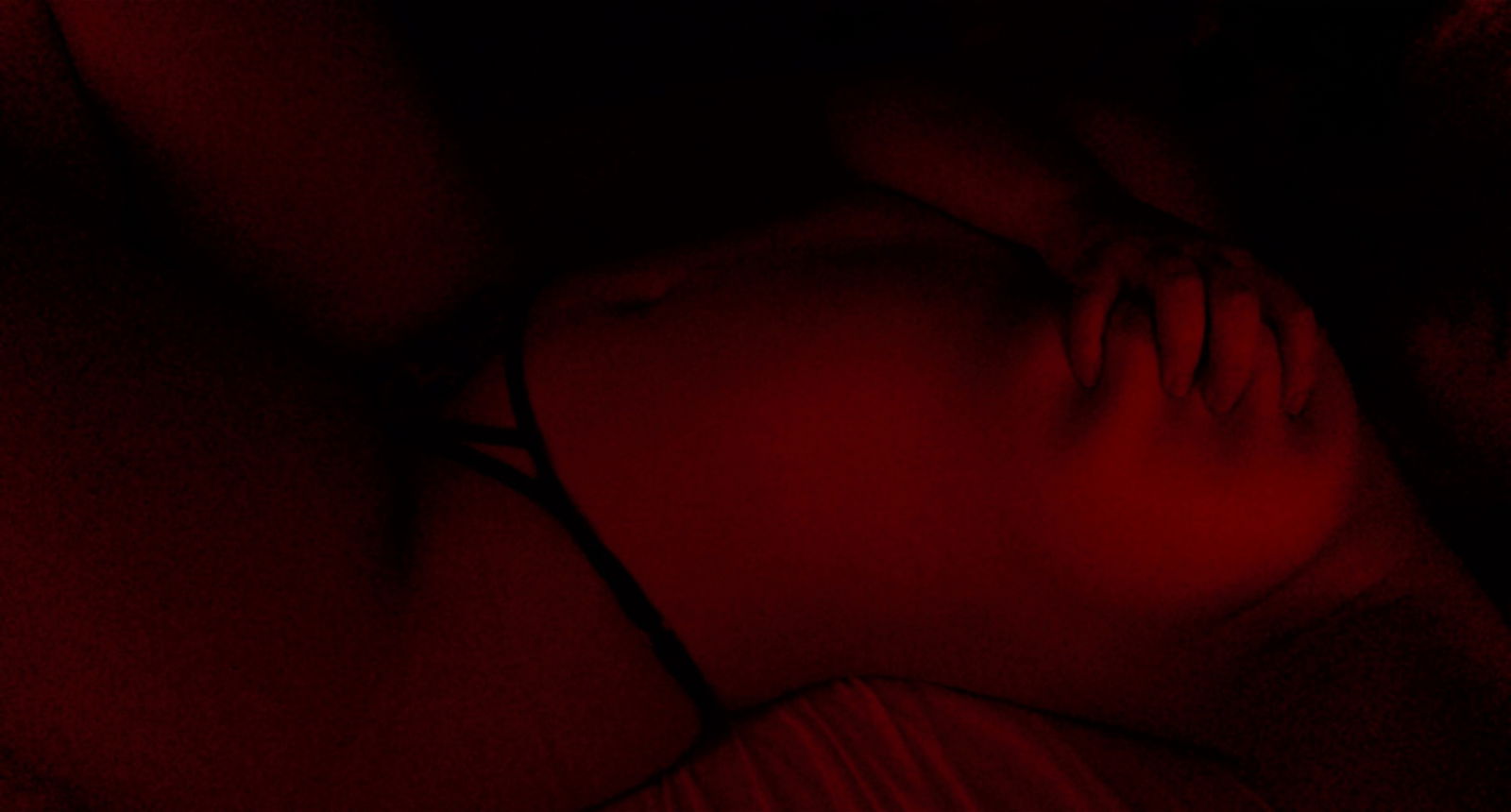 Bailee profile banner