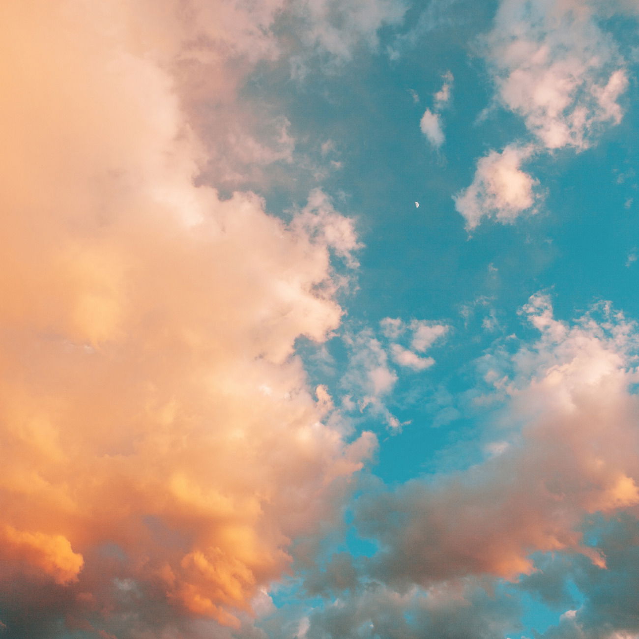Alicia Rae profile banner