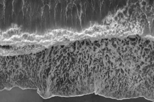 Novel_Gra profile banner