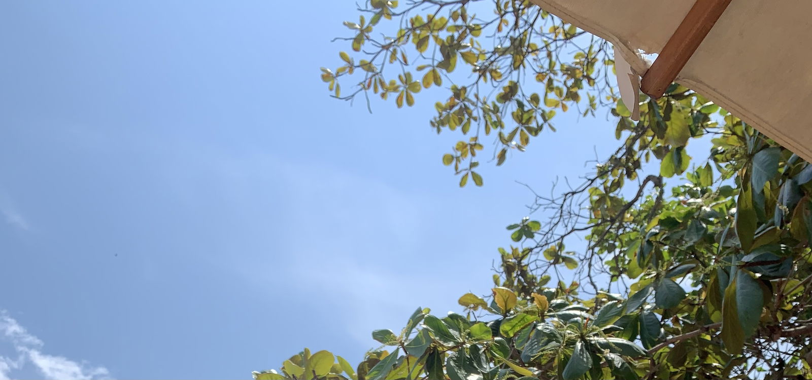 Mineirinho profile banner