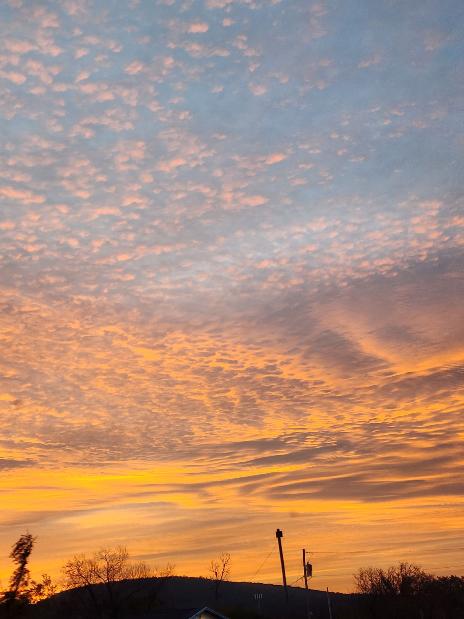 NevaSkydancer profile banner