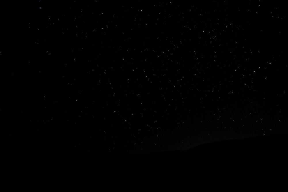 Zay Royal profile banner