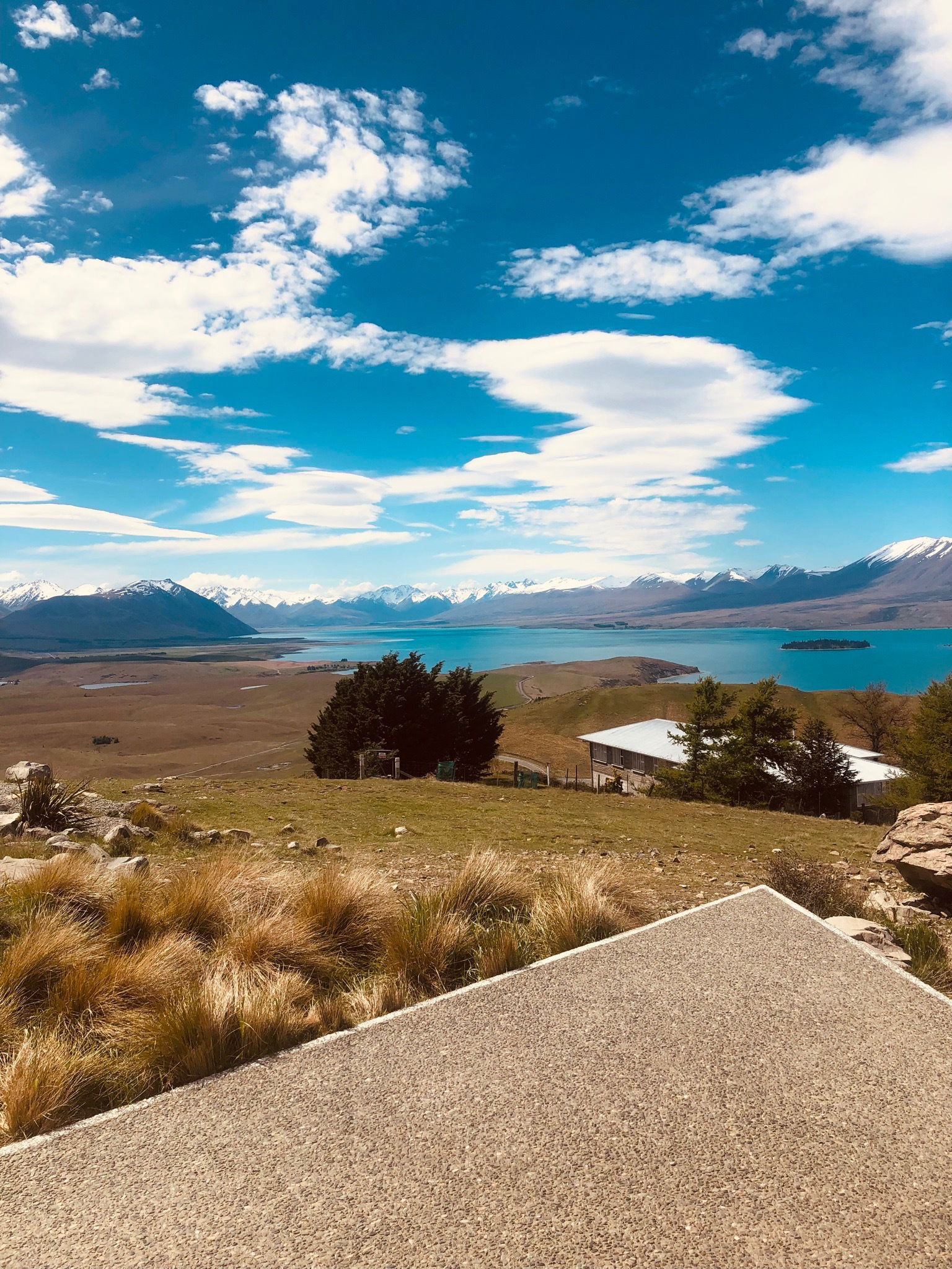 Nzlassxx profile banner