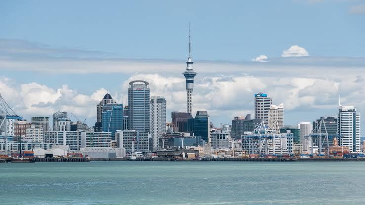 NZweirdfeetguy profile banner