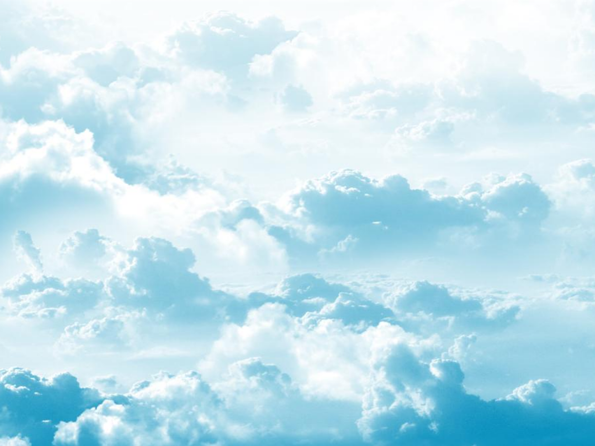 Olivier Bergeron profile banner