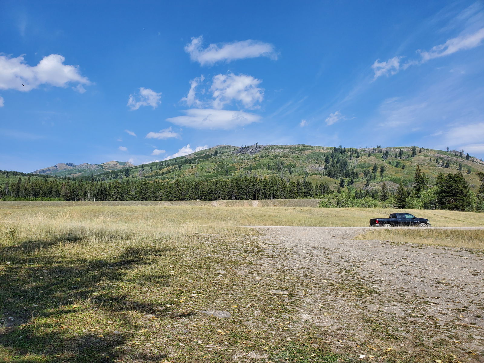 OaklyOak profile banner