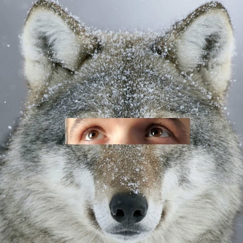 Space of wolF profile banner