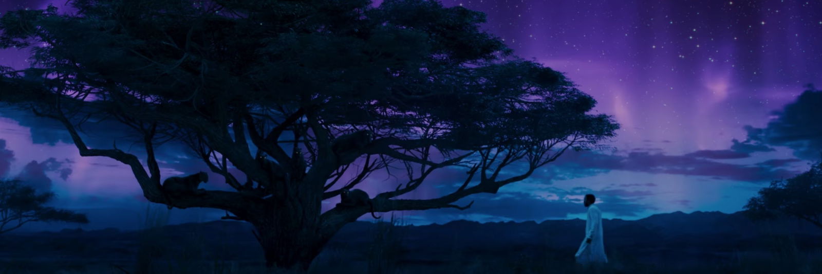 Beau profile banner