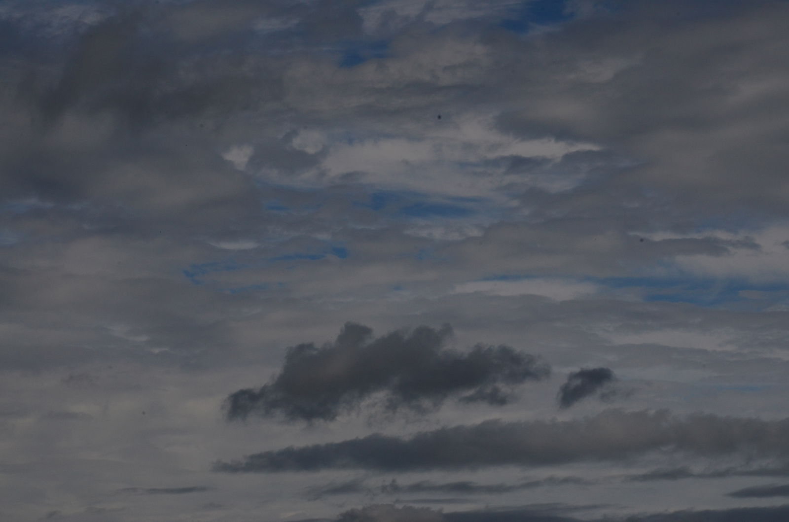 oh behave profile banner