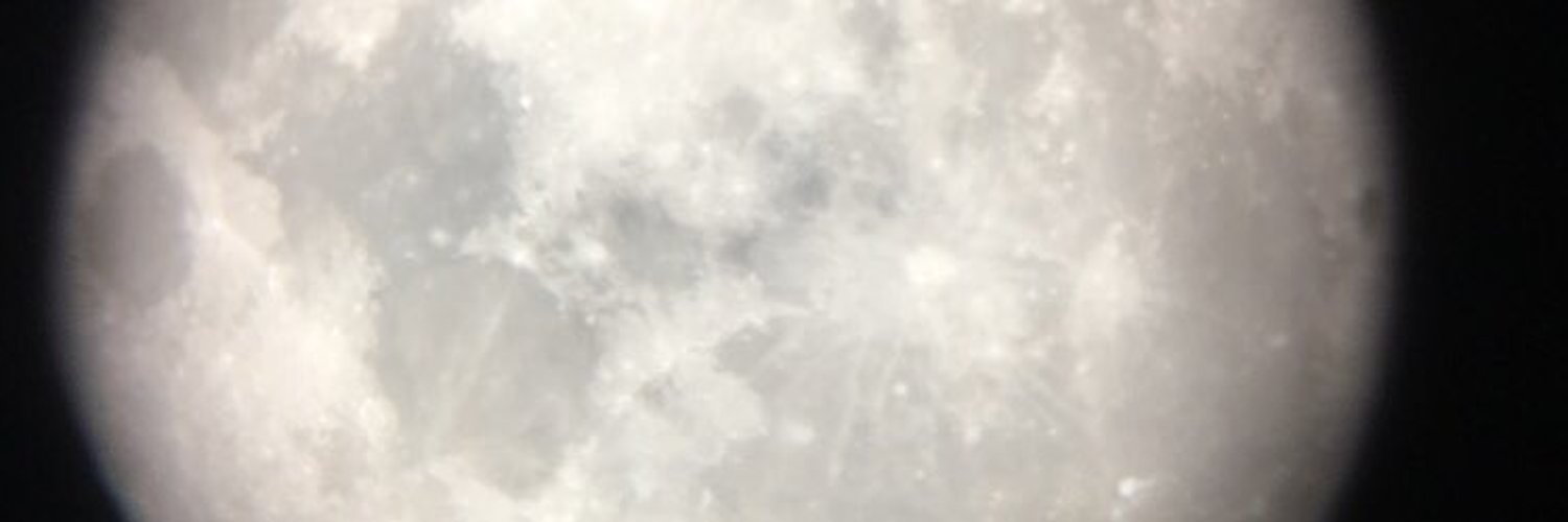 Phoenix profile banner