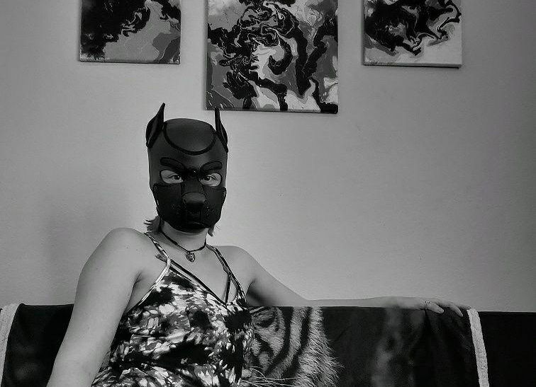 OneStretchyPup profile banner