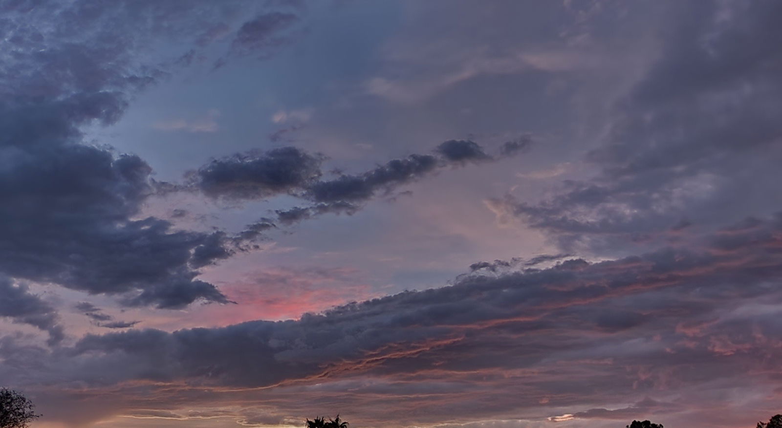 Onlybuns profile banner