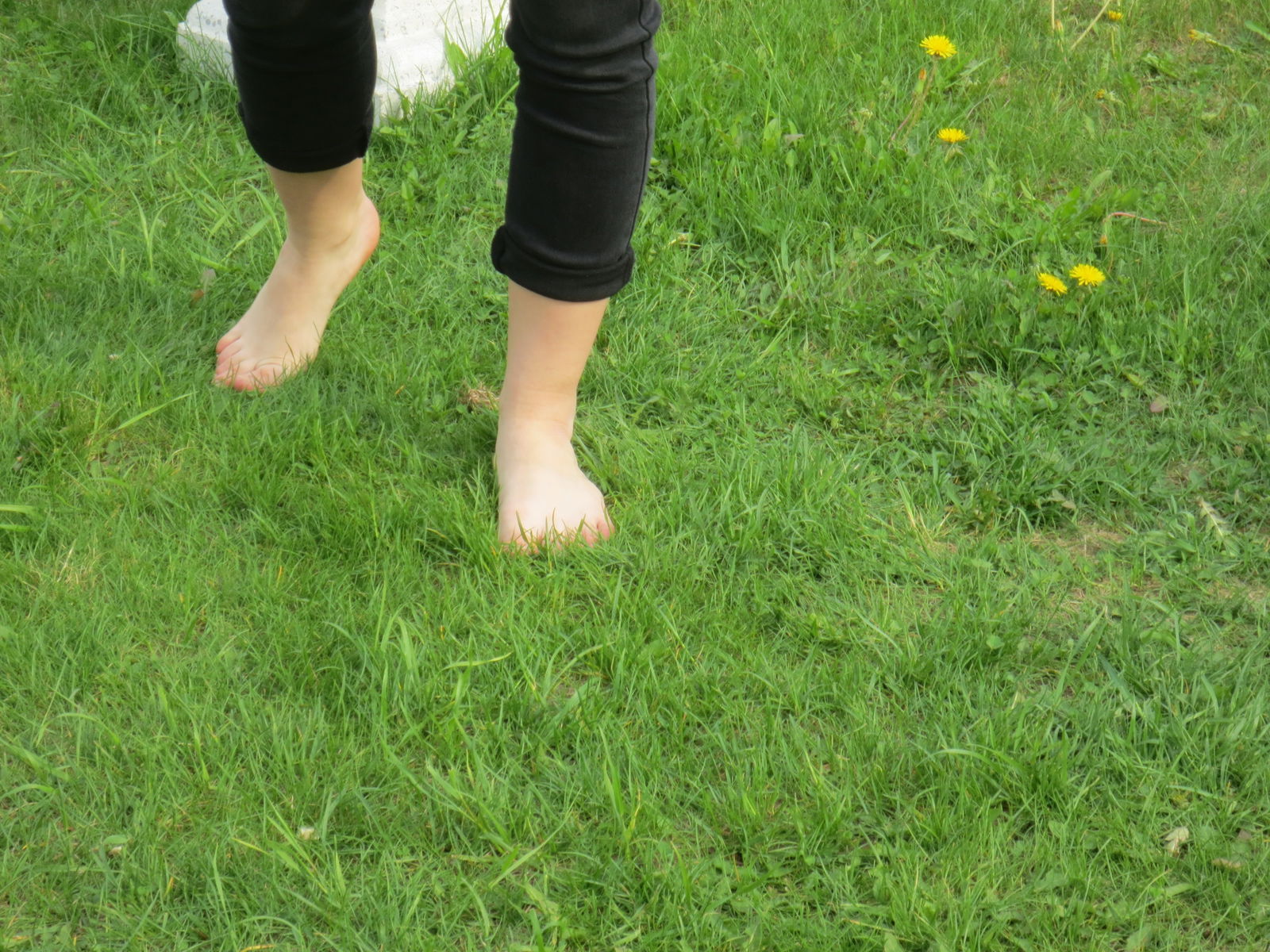 Teeny-Tiny Feet profile banner