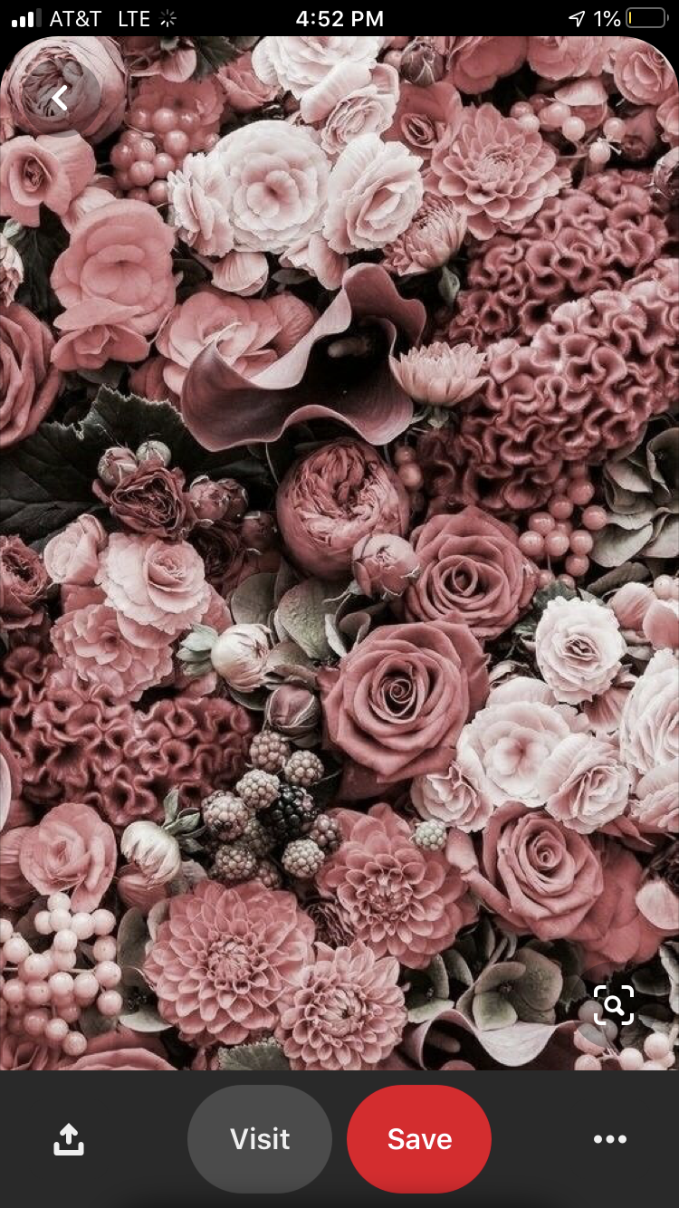Closed 🚫 profile banner