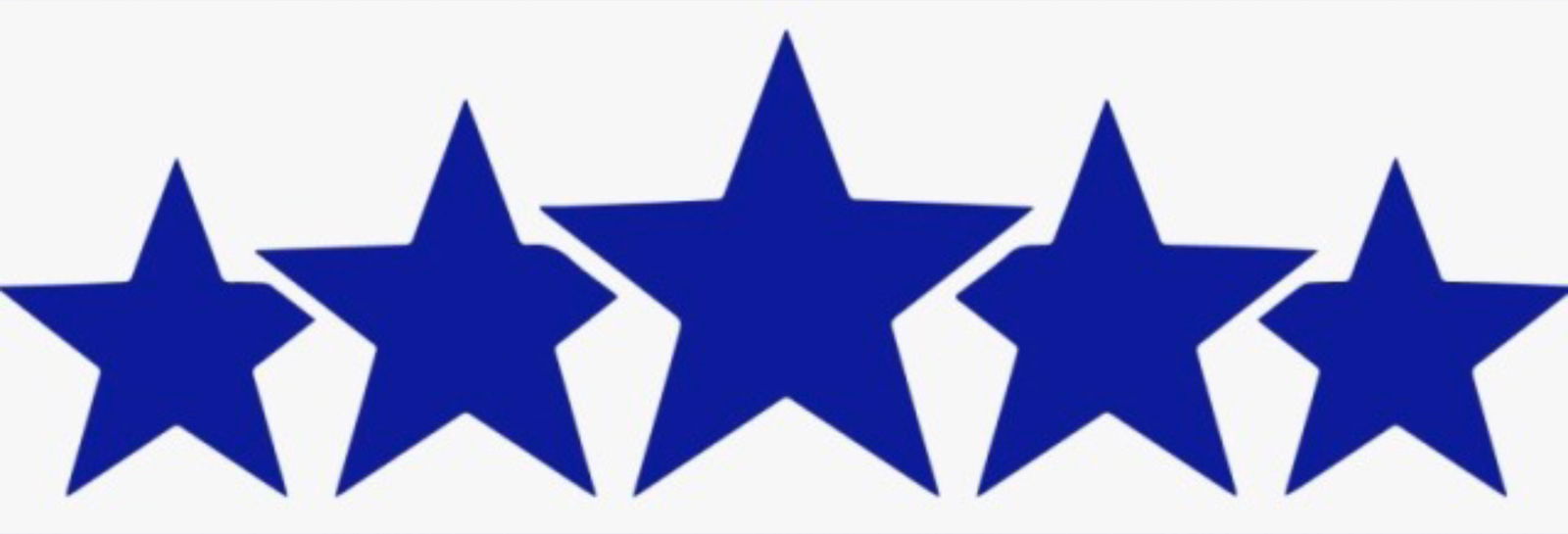 palmtreepuppy banner