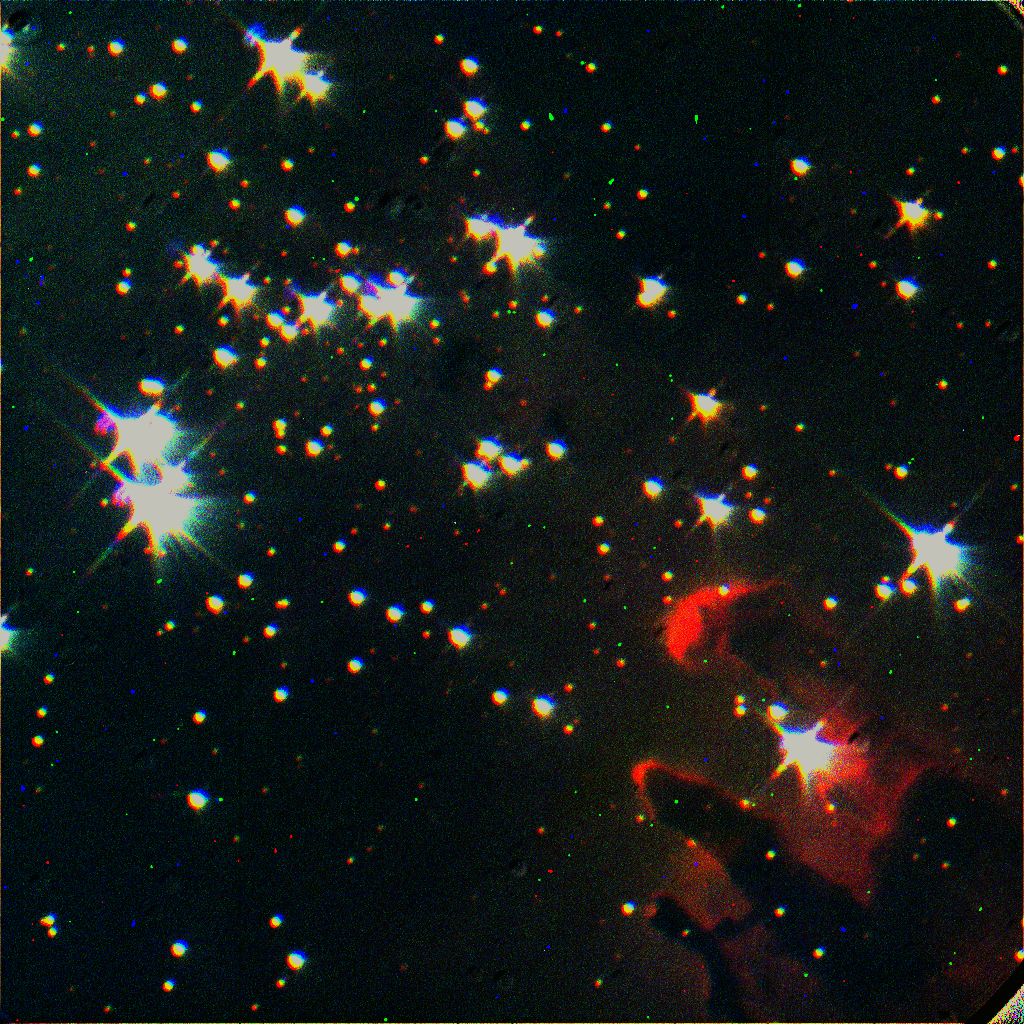 Paloma profile banner
