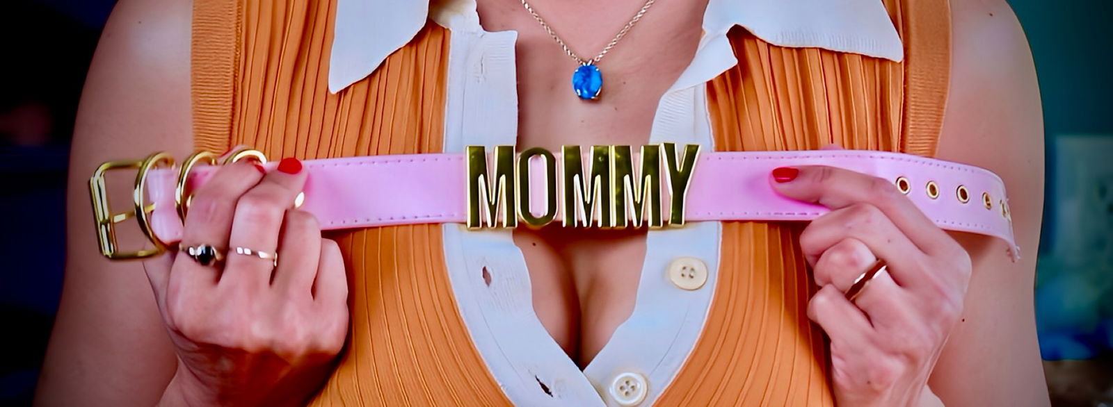 pamperedpenny banner