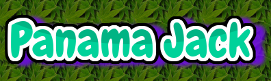 Panama jack profile banner