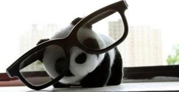 π PandaBear π profile banner